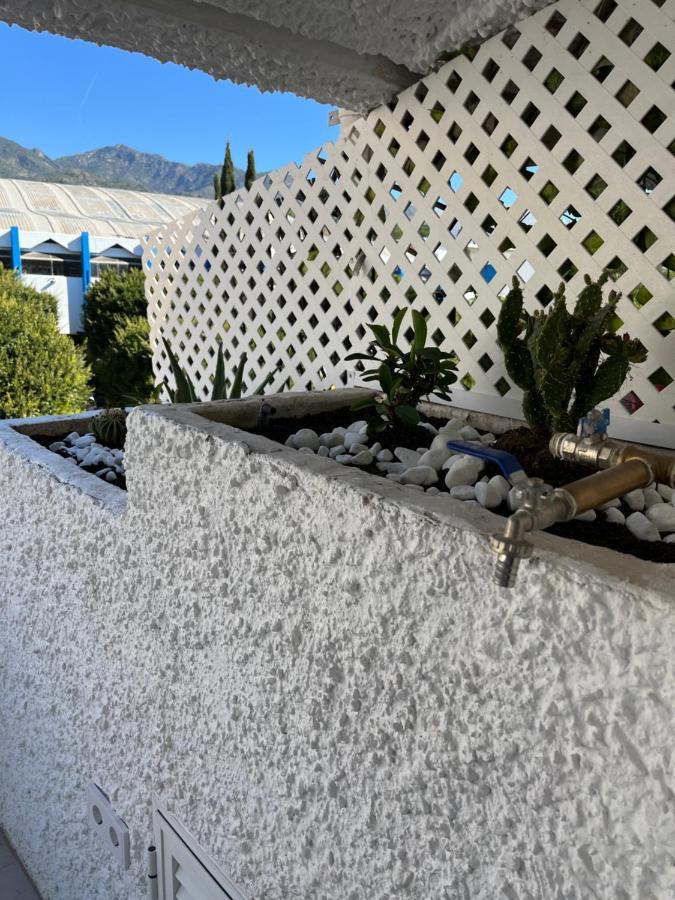 Jardines Del Mar,penthouse Elisabeth Apartment *